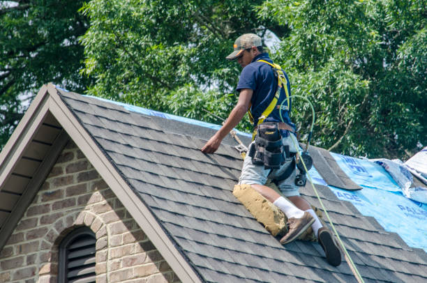 Best Residential Roof Replacement  in Tawas City, MI